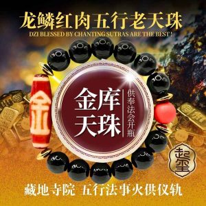 龙鳞红肉五行老天珠