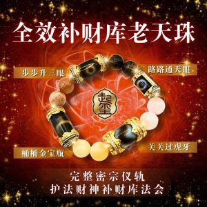 全效补财库老天珠