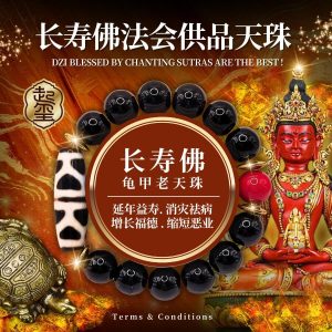 长寿佛龟甲老天珠