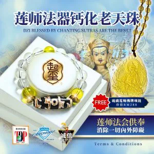 莲师法器钙化老天珠 · 商品图片 1