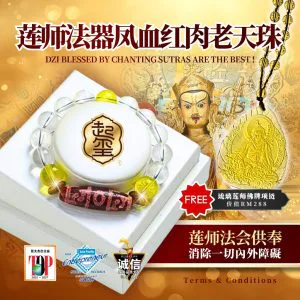 Guru Rinpoche Phoenix-Blood Red-Toned Ritual-Motif Dzi · Product image 1
