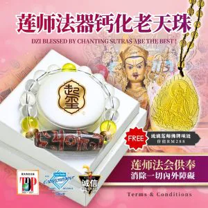 莲师法器钙化老天珠 · 商品图片 1