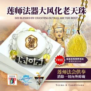 莲师法器大风化老天珠 · 商品图片 1